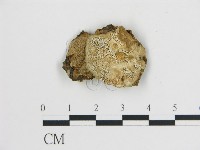 登錄號:F0006748藏品圖，第1張