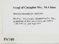 登錄號:F0006749藏品圖，第2張