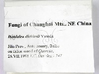 登錄號:F0006750藏品圖，第2張