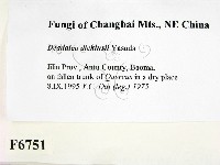 登錄號:F0006751藏品圖，第2張