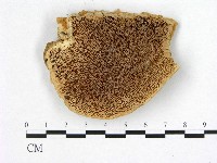 登錄號:F0006751藏品圖，第1張