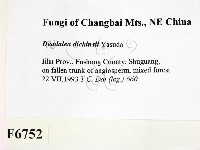 登錄號:F0006752藏品圖，第2張