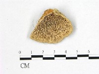 登錄號:F0006752藏品圖，第1張