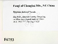 登錄號:F0006753藏品圖，第2張