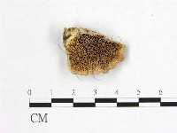 登錄號:F0006753藏品圖，第1張