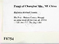 登錄號:F0006754藏品圖，第2張