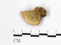 登錄號:F0006754藏品圖，第1張