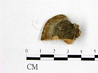 登錄號:F0006754藏品圖，第3張