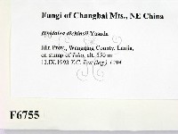 登錄號:F0006755藏品圖，第2張