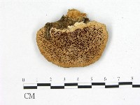 登錄號:F0006755藏品圖，第1張