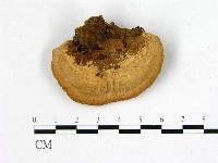 登錄號:F0006755藏品圖，第3張