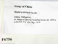 登錄號:F0006756藏品圖，第2張