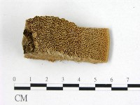 登錄號:F0006756藏品圖，第1張