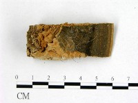 登錄號:F0006756藏品圖，第3張