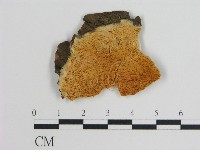 登錄號:F0006758藏品圖，第1張