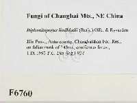 登錄號:F0006760藏品圖，第2張