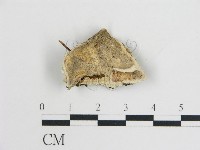 登錄號:F0006760藏品圖，第1張