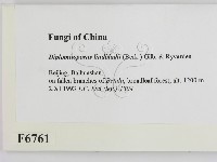 登錄號:F0006761藏品圖，第2張