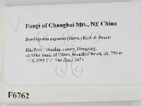 登錄號:F0006762藏品圖，第2張