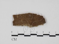 登錄號:F0006762藏品圖，第1張