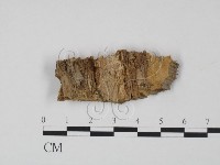 登錄號:F0006762藏品圖，第3張