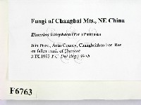 登錄號:F0006763藏品圖，第2張