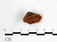 登錄號:F0006763藏品圖，第1張