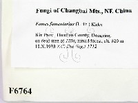 登錄號:F0006764藏品圖，第2張