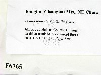 登錄號:F0006765藏品圖，第2張