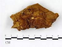 登錄號:F0006765藏品圖，第1張