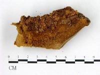 登錄號:F0006765藏品圖，第3張