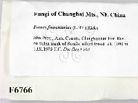 登錄號:F0006766藏品圖，第2張