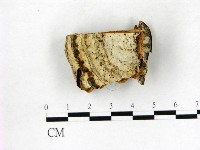 登錄號:F0006766藏品圖，第1張