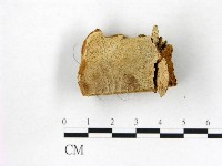 登錄號:F0006766藏品圖，第3張