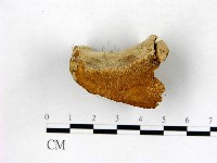 登錄號:F0006766藏品圖，第4張