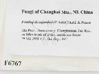 登錄號:F0006767藏品圖，第2張