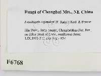 登錄號:F0006768藏品圖，第2張