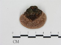 登錄號:F0006768藏品圖，第3張