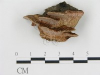 登錄號:F0006769藏品圖，第1張