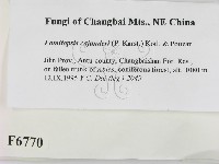 登錄號:F0006770藏品圖，第2張