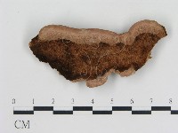 登錄號:F0006770藏品圖，第1張