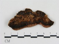 登錄號:F0006770藏品圖，第3張