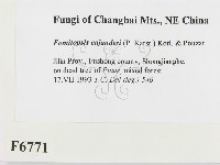 登錄號:F0006771藏品圖，第2張