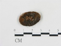 登錄號:F0006771藏品圖，第3張