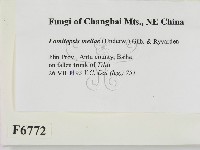 登錄號:F0006772藏品圖，第2張