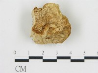 登錄號:F0006772藏品圖，第1張