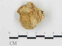 登錄號:F0006772藏品圖，第3張