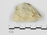 登錄號:F0006782藏品圖，第1張