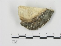 登錄號:F0006782藏品圖，第3張