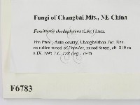 登錄號:F0006783藏品圖，第2張